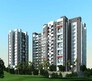 Pashankar Yin Yang Flagship Image