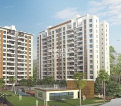 Pate Life Montage, Sus, Pune