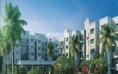 Peninsula Address One Phase 2 Featured Image