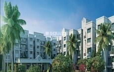 Peninsula Address One Phase 5 Featured Image
