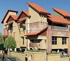 Pharande Comfort Cushion Featured Image