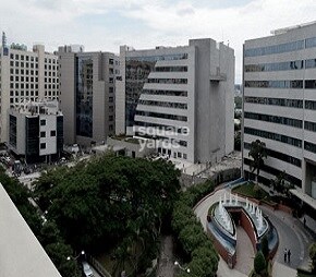 vascon-platinum-square