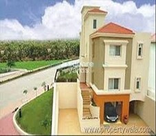 Pride Purple Diamond Park Featured Image