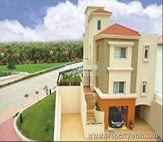 Pride Purple Diamond Park Featured Image