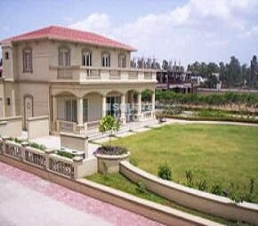 Pride Purple Five Gardens Cover Image