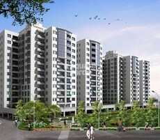 Pride Park Street Featured Image