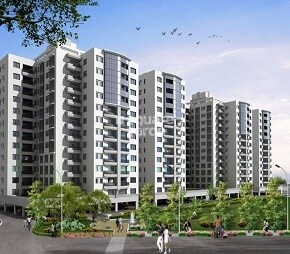 Pride Park Street, Wakad, Pune