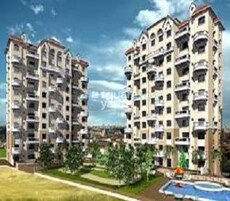 Pride Purple Panorama Featured Image