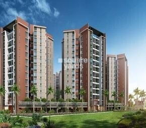 Pride Purple Park Ivory, Wakad, Pune