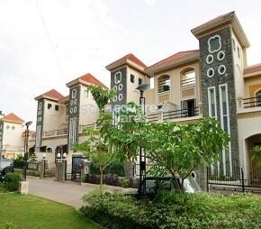 Pride Purple Park Royale