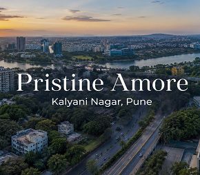 Pristine Amore Featured Image