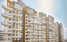 Pristine Pacific Featured Image