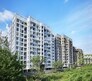 Pristine Prolife Phase III Flagship Image
