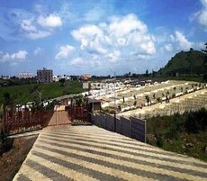 Prospera Palms Ornament Featured Image