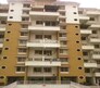 Rahul park Flagship Image