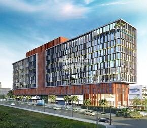 Rainbow Westport Featured Image