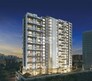 Raja Pittie Kourtyard Flagship Image