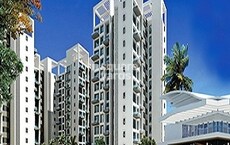 Rama Celestial City Featured Image