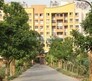 Raviraj Yellow Blossoms Flagship Image