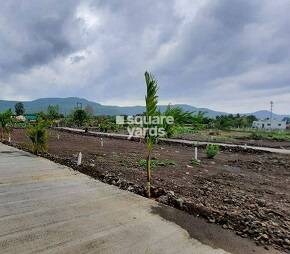 Real Residency Phase 2