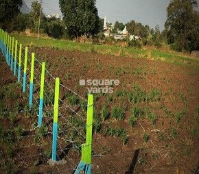 Right Choice Green Mist, Narhe, Pune