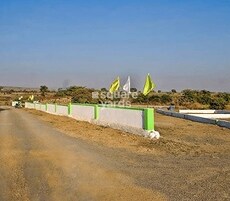 Rising Green Bliss Featured Image