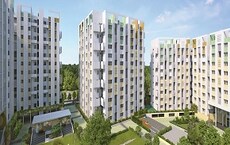Rohan Anand Phase 1 Featured Image