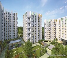 Rohan Anand Phase 2 Featured Image