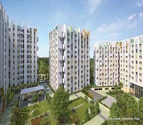 Rohan Anand Phase 2