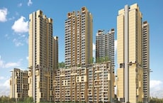 Rohan Ekam Featured Image