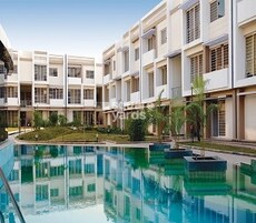 Rohan Seher Featured Image