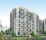 Rohan Silver Palm Grove Flagship Image