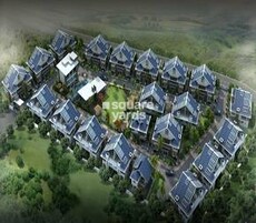 Ronch Viveza Featured Image