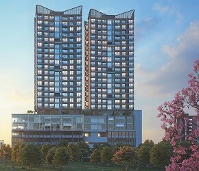 Royal Morya Skydale