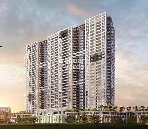 Royal Palms NIBM