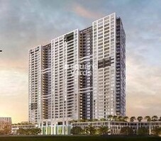 Royal Palms NIBM Featured Image