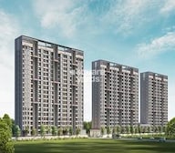 Sahyadri Plumeria Video