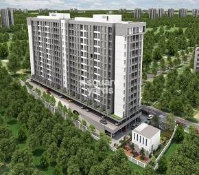 Sai Ramana Myra Video