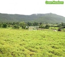 Sairung Meadows Featured Image