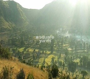 Sairung Tranquil