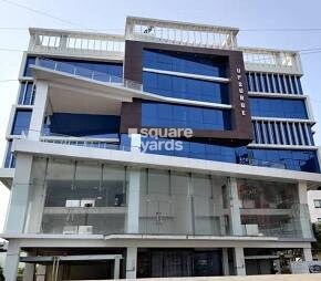 Sanghvi Upsurge