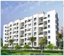 Sanjeevani Sadafulee Flagship Image