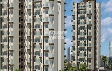 Shree Bhagwati Rudraksh Featured Image