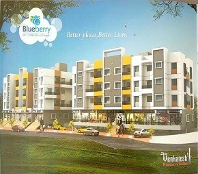 Shree Blueberry