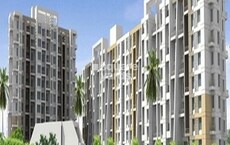 Shree Venkatesh Prasad Featured Image