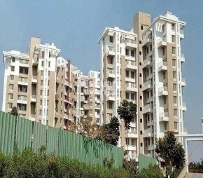 Shreeyash Shree Woods