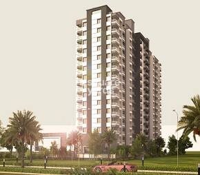 Shri Balaji Siddhi Video