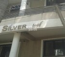 Silver Leaf II