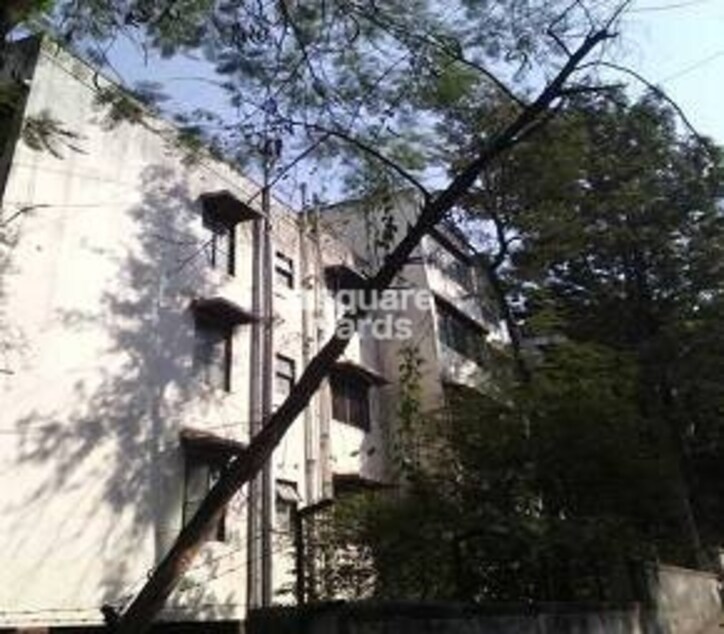 Sneh Park Cover Image