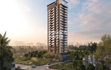 Space 37 Grandstand Featured Image